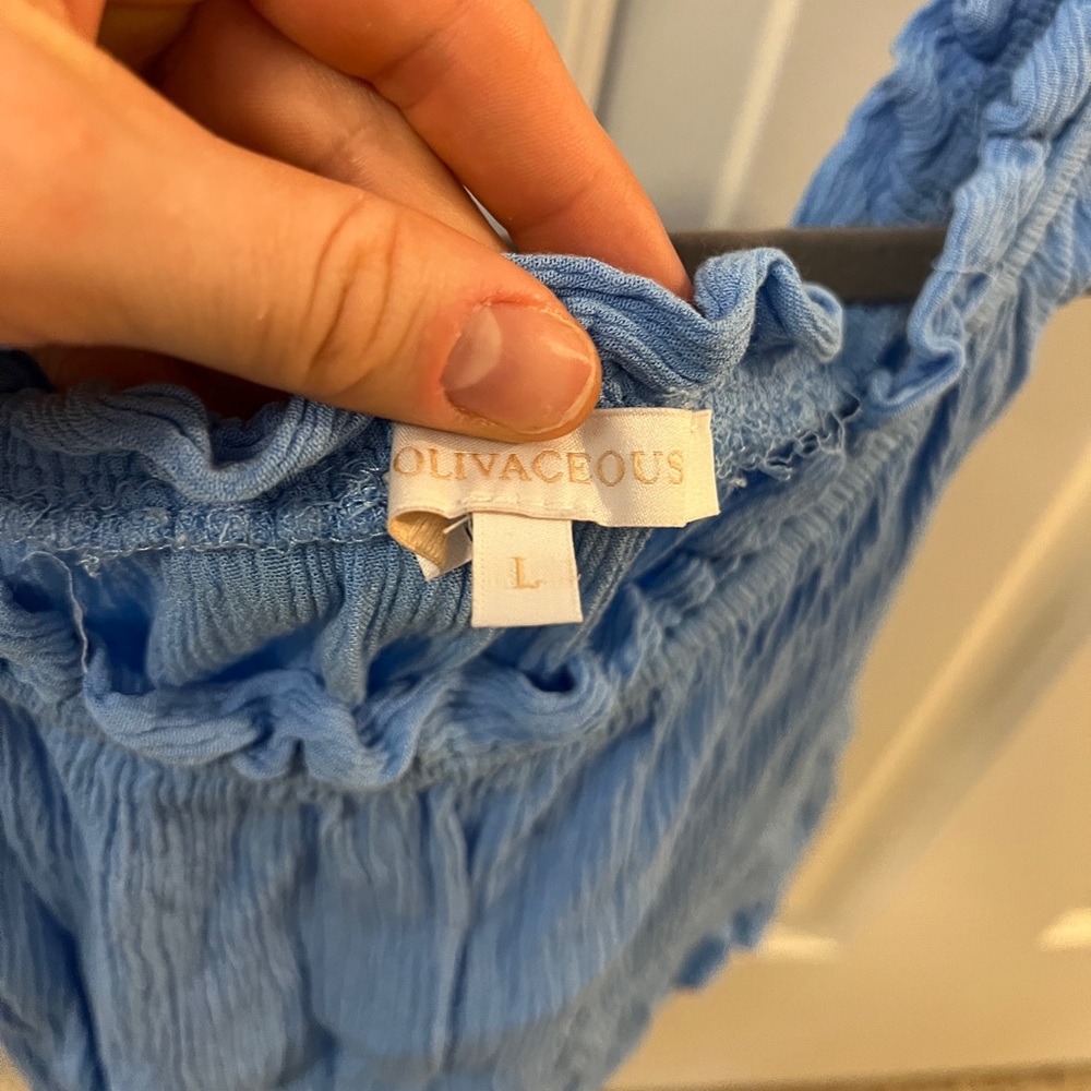 Blue Ruffle Crop Top - Picture 5 of 7